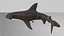 Hammerhead Shark Rigged L593