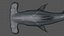 Hammerhead Shark Rigged L593