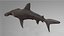 Hammerhead Shark Rigged L593