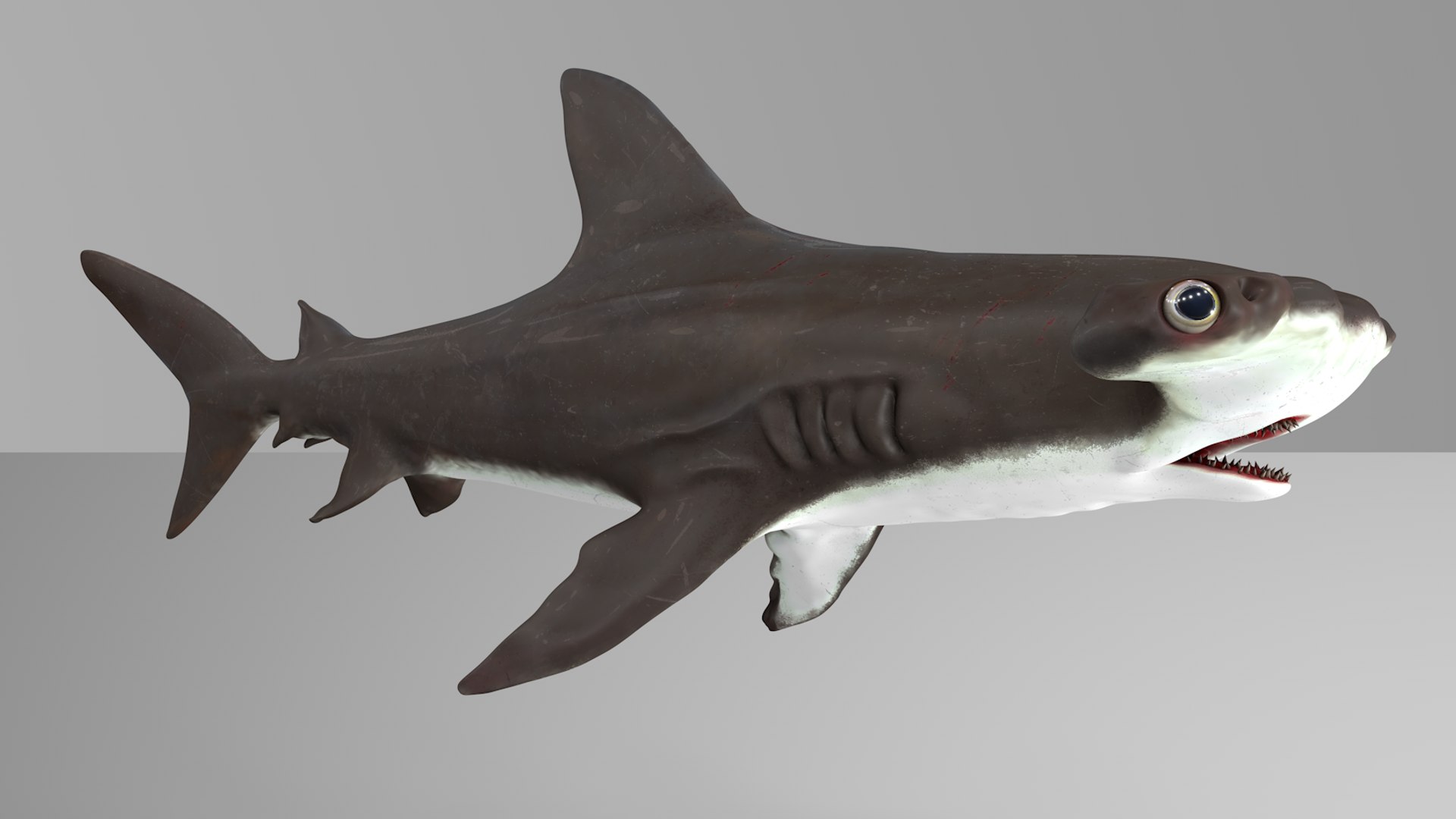 3D hammerhead shark rigged l593 model https://p.turbosquid.com/ts-thumb/ls/r1IIcc/nJ3qPmeS/10/png/1582497387/1920x1080/fit_q87/e426fcea5de995d35163e8c87a1a767ad420671d/10.jpg