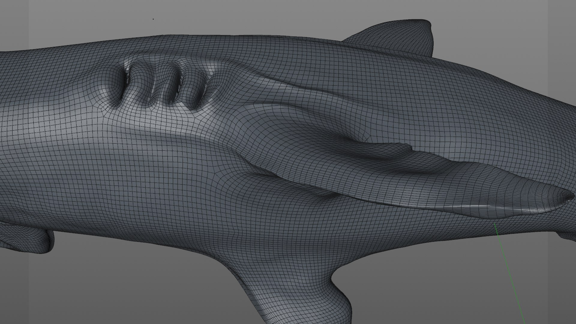 3D hammerhead shark rigged l593 model https://p.turbosquid.com/ts-thumb/ls/r1IIcc/w0dZo0fv/68/png/1582497456/1920x1080/fit_q87/d864d16140899a673d37e470941be6906681b422/68.jpg