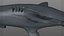 Hammerhead Shark Rigged L593
