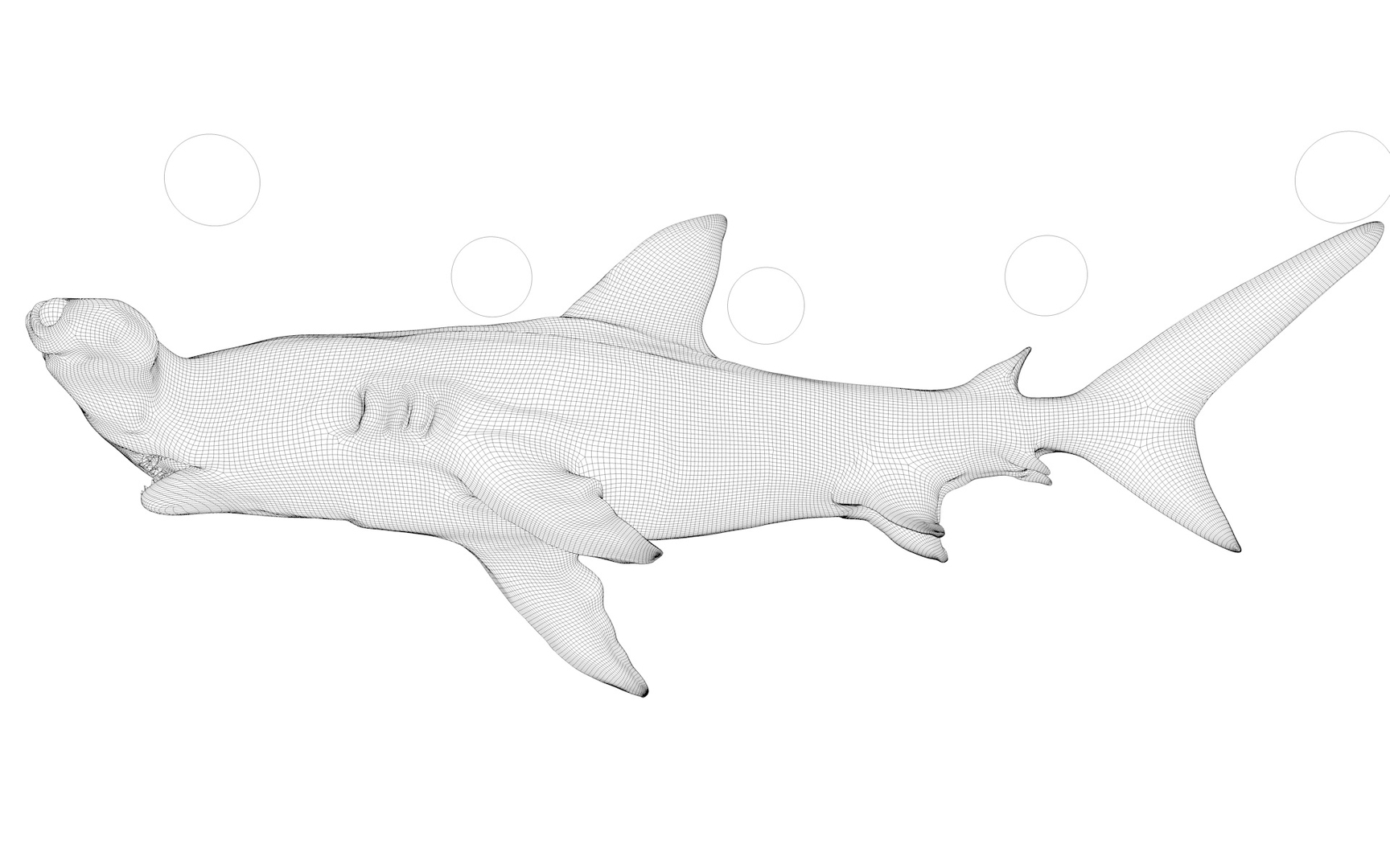 3D hammerhead shark rigged l593 model https://p.turbosquid.com/ts-thumb/ls/r1IIcc/w60h5QYV/z/jpg/1582497904/1920x1080/turn_fit_q99/9a7eb85bd424bea0bf98980990aa068ee1b5eaf4/z-1.jpg