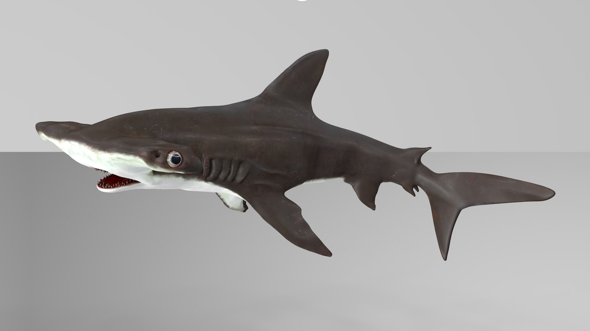 3D hammerhead shark rigged l593 model https://p.turbosquid.com/ts-thumb/ls/r1IIcc/y3WjS9yR/22/png/1582497388/1920x1080/fit_q87/0cf677e92c72e486435116df5d0aa05394453e7e/22.jpg