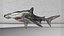 Hammerhead Shark Rigged L593