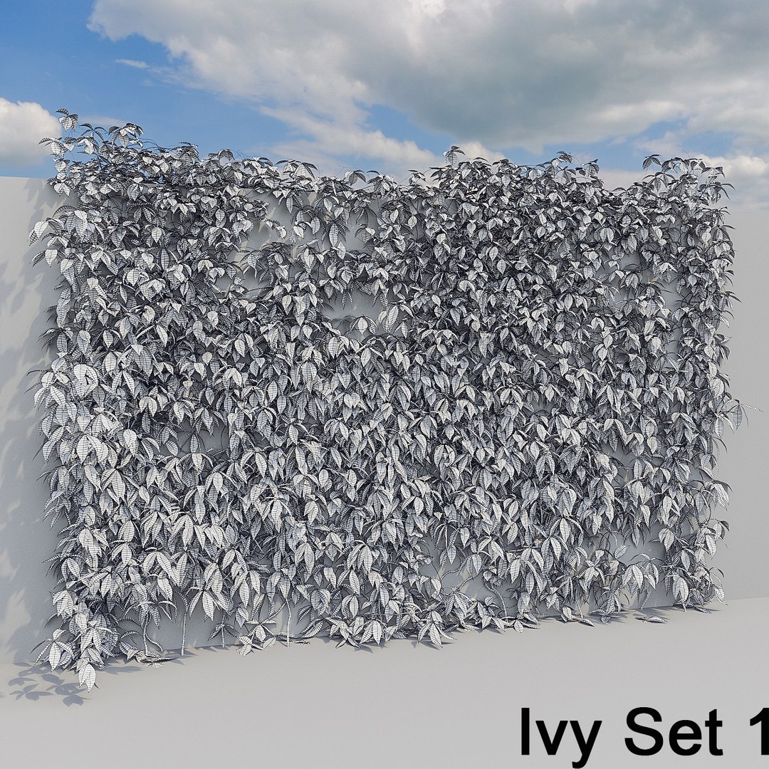 3d ivy leaf grass https://p.turbosquid.com/ts-thumb/ls/rXG0GS/4Gre6463/11/jpg/1450003441/1920x1080/fit_q87/fb1fa50e74a3efdf76461f14c8bccaeb6dca140f/11.jpg