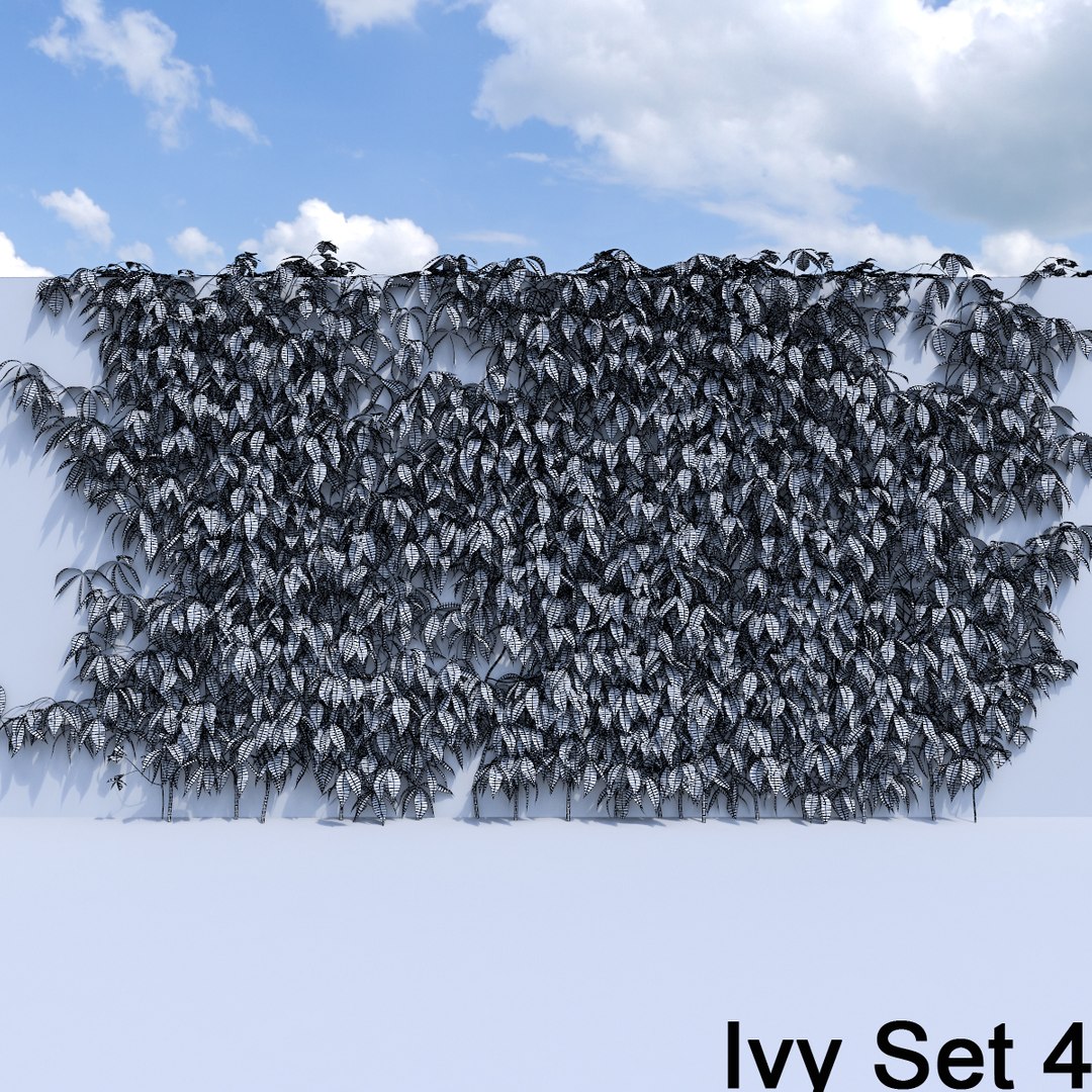 3d ivy leaf grass https://p.turbosquid.com/ts-thumb/ls/rXG0GS/59avRhD0/51/jpg/1450003442/1920x1080/fit_q87/36f5f72683330e324e5250b387657b31af7a48ba/51.jpg