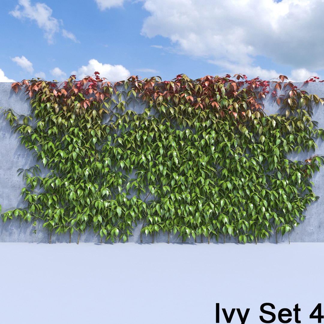 3d ivy leaf grass https://p.turbosquid.com/ts-thumb/ls/rXG0GS/6YIvDfNN/50/jpg/1450003442/1920x1080/fit_q87/13da0fa94ba5f0c129f2aa868bcff775b275dab0/50.jpg