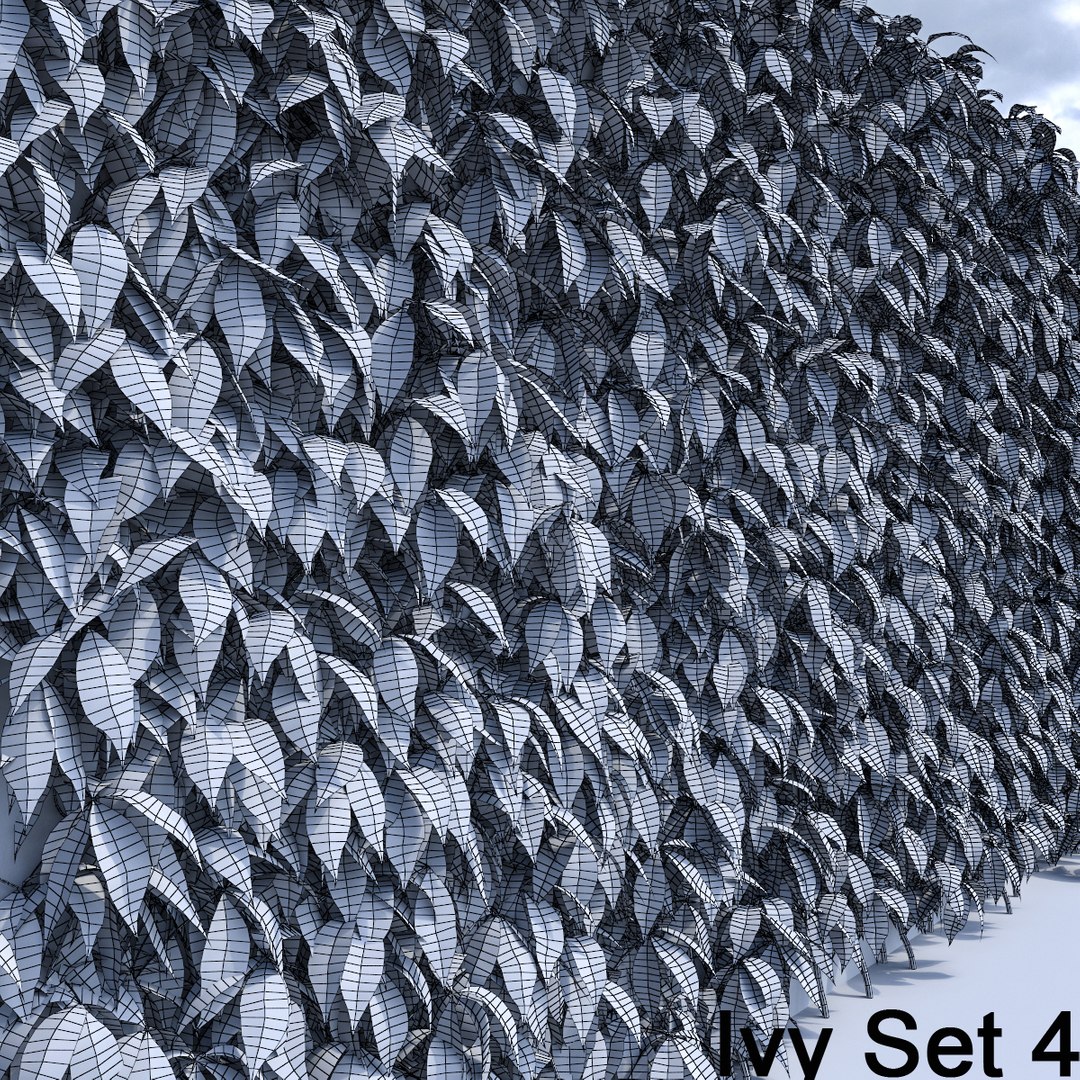 3d ivy leaf grass https://p.turbosquid.com/ts-thumb/ls/rXG0GS/7q7z6LMc/44/jpg/1450003442/1920x1080/fit_q87/bf1df1cd814d10dff3cbaf892d2e69d528607329/44.jpg