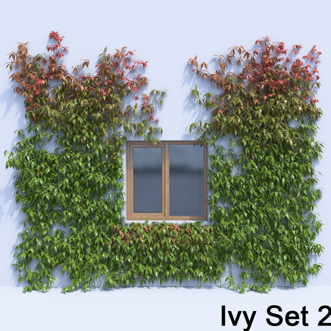 3d ivy leaf grass https://p.turbosquid.com/ts-thumb/ls/rXG0GS/9BNrLN55/20/jpg/1450003441/1920x1080/fit_q87/0a6308a52e9614462f03ae702d51a2a1bda5dfb6/20.jpg