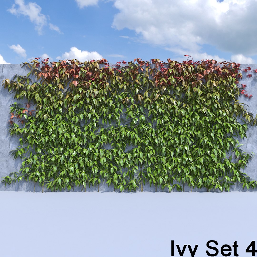 3d ivy leaf grass https://p.turbosquid.com/ts-thumb/ls/rXG0GS/BmKJgM53/54/jpg/1450026163/1920x1080/fit_q87/5b70bef199a803e04065fc1d5fc7ed362f47a1c0/54.jpg