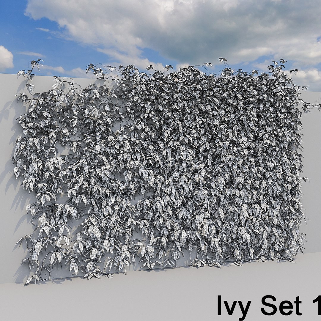 3d ivy leaf grass https://p.turbosquid.com/ts-thumb/ls/rXG0GS/CV8jB3Iv/09/jpg/1450003441/1920x1080/fit_q87/71b9c8af458f638205627a74394f6623ca6a46d9/09.jpg