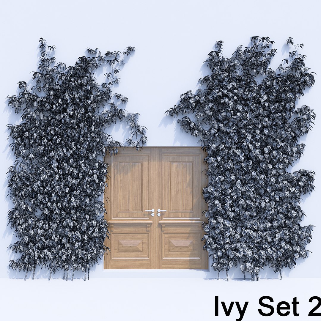3d ivy leaf grass https://p.turbosquid.com/ts-thumb/ls/rXG0GS/CfptI1b0/19/jpg/1450003441/1920x1080/fit_q87/04bcfc768e0d25c7a467b8d1260118691b4fb3ce/19.jpg