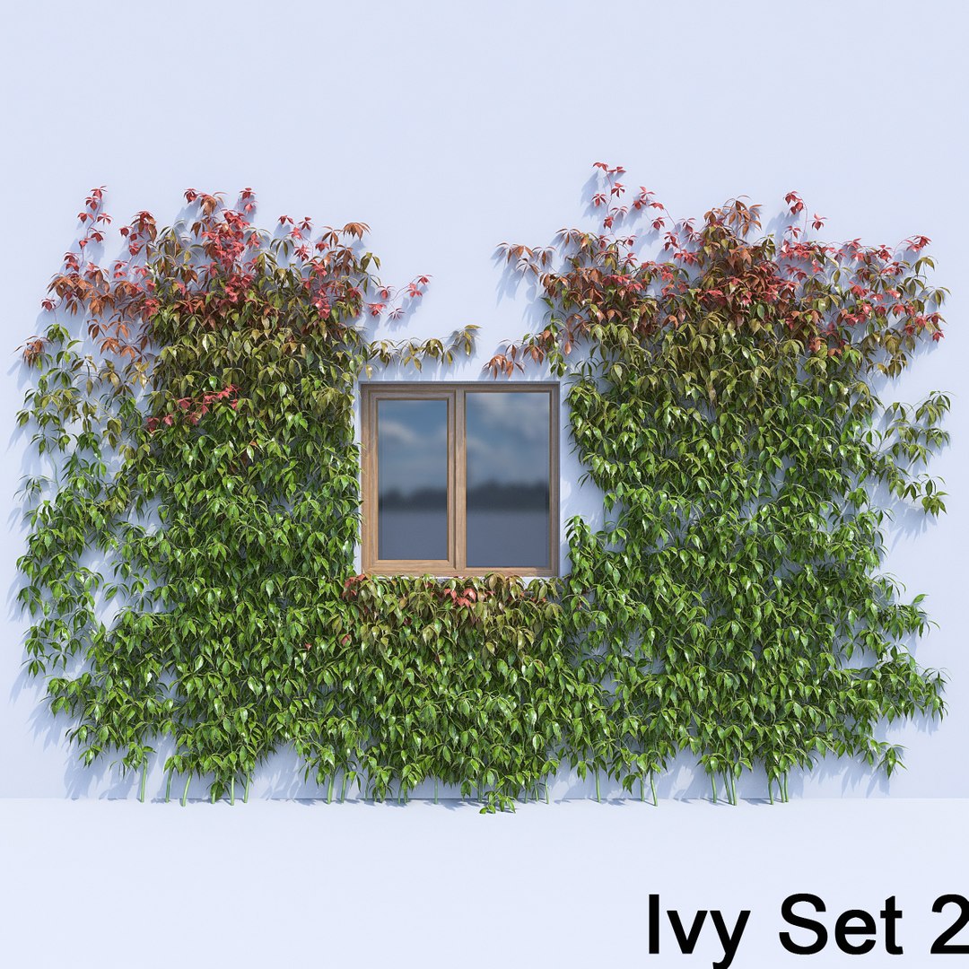 3d ivy leaf grass https://p.turbosquid.com/ts-thumb/ls/rXG0GS/DM1DongP/24/jpg/1450003441/1920x1080/fit_q87/90d1a13427beffd77f32b834f24b764713898066/24.jpg