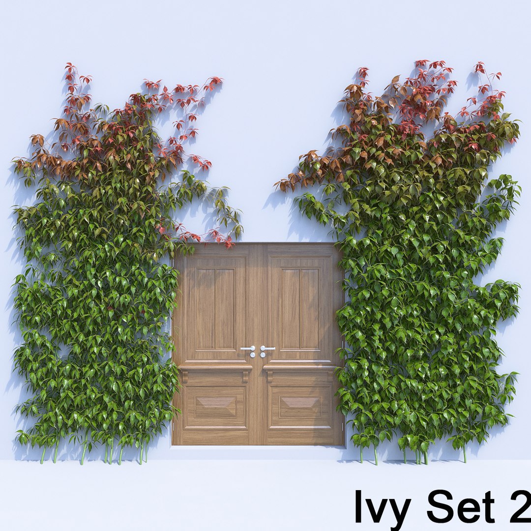 3d ivy leaf grass https://p.turbosquid.com/ts-thumb/ls/rXG0GS/HC1NHHxz/18/jpg/1450003441/1920x1080/fit_q87/506a0d84d1a4a3c97969dca87ca4bcae4d773d2f/18.jpg