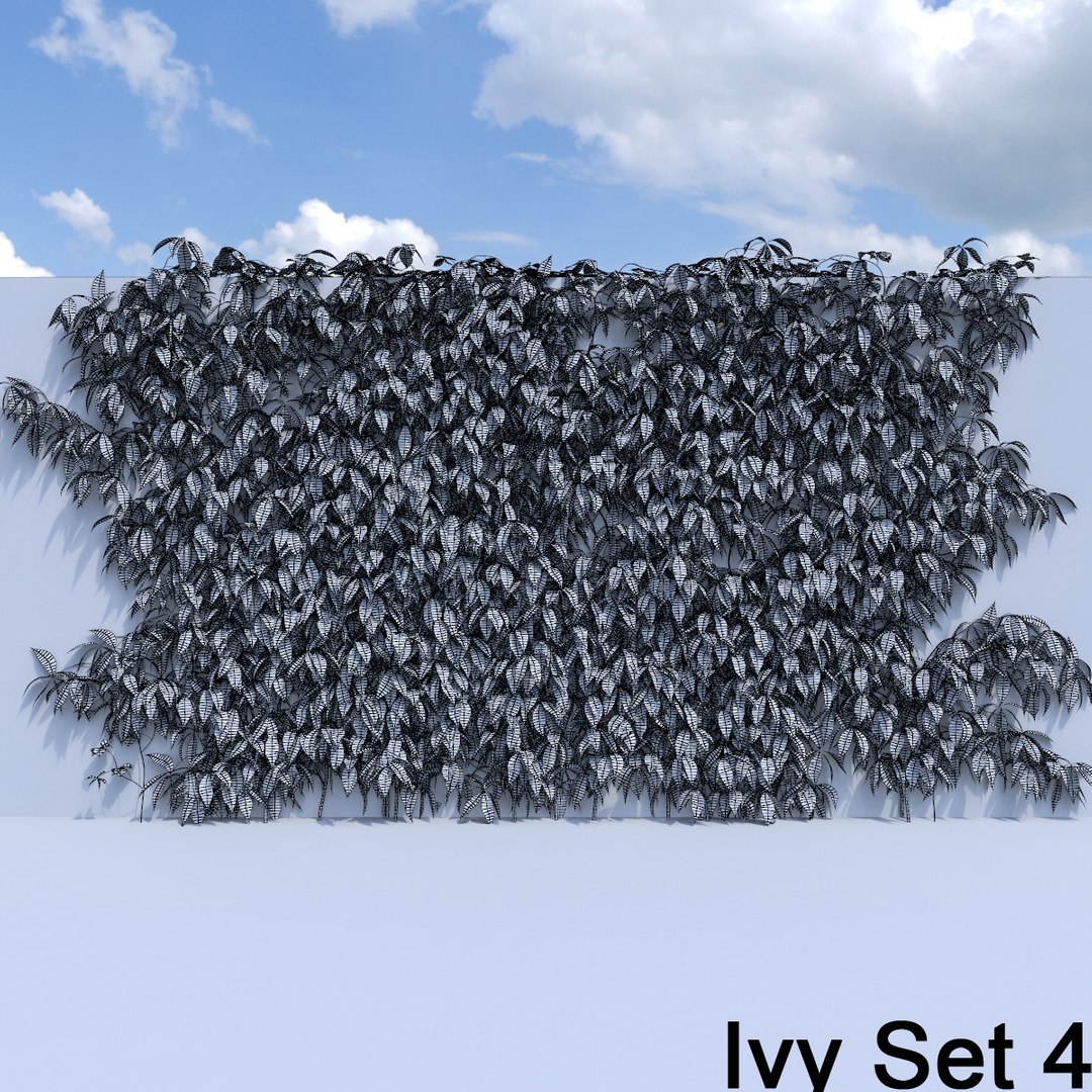 3d ivy leaf grass https://p.turbosquid.com/ts-thumb/ls/rXG0GS/JoMXs1FQ/53/jpg/1450026163/1920x1080/fit_q87/839f3158b4bbb76bf0685c9d51c71b6bc6e76280/53.jpg