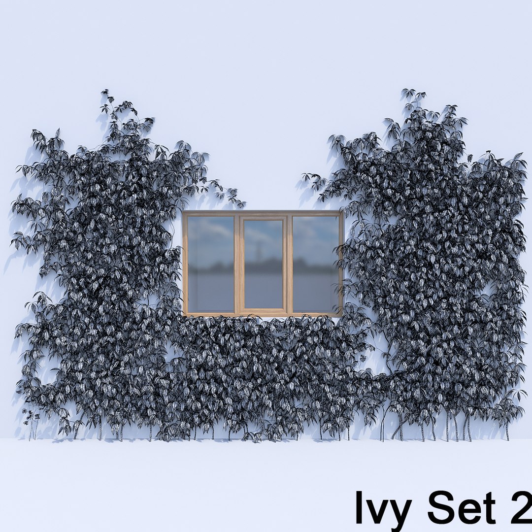 3d ivy leaf grass https://p.turbosquid.com/ts-thumb/ls/rXG0GS/MrKyaNxF/27/jpg/1450003441/1920x1080/fit_q87/3ab021fe94b3e953d89f4cacc560dbd423d55648/27.jpg