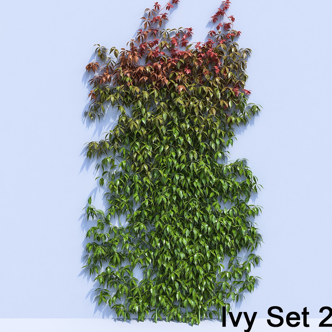 3d ivy leaf grass https://p.turbosquid.com/ts-thumb/ls/rXG0GS/OWskqAXO/16/jpg/1450003441/1920x1080/fit_q87/399f1a0c42cc6d940e5582427e9da6c7e72f1c4a/16.jpg