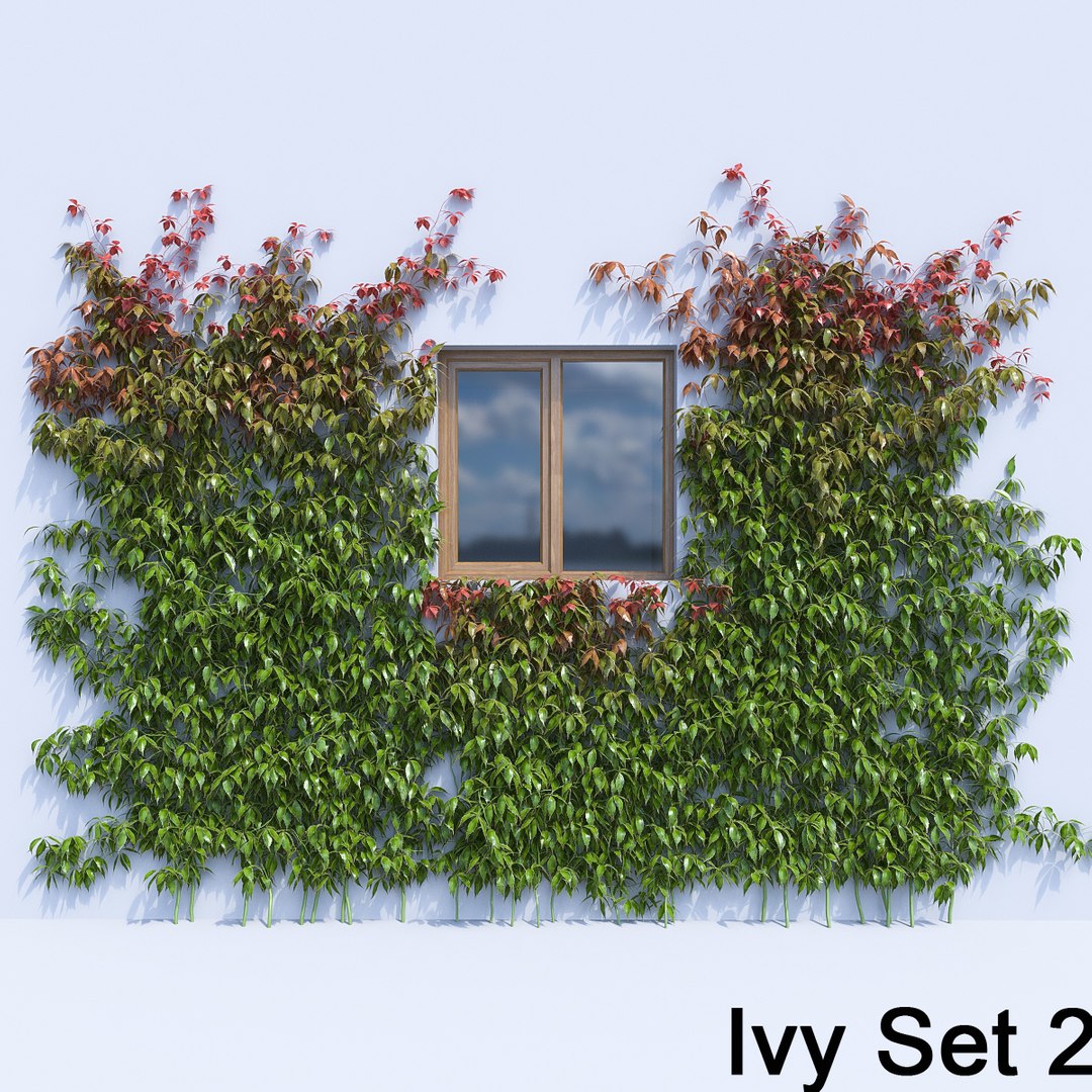 3d ivy leaf grass https://p.turbosquid.com/ts-thumb/ls/rXG0GS/PmThvWO1/28/jpg/1450003441/1920x1080/fit_q87/3a96d987d7b78ac38d6e7eb8e8ab863e9e5fb0a3/28.jpg