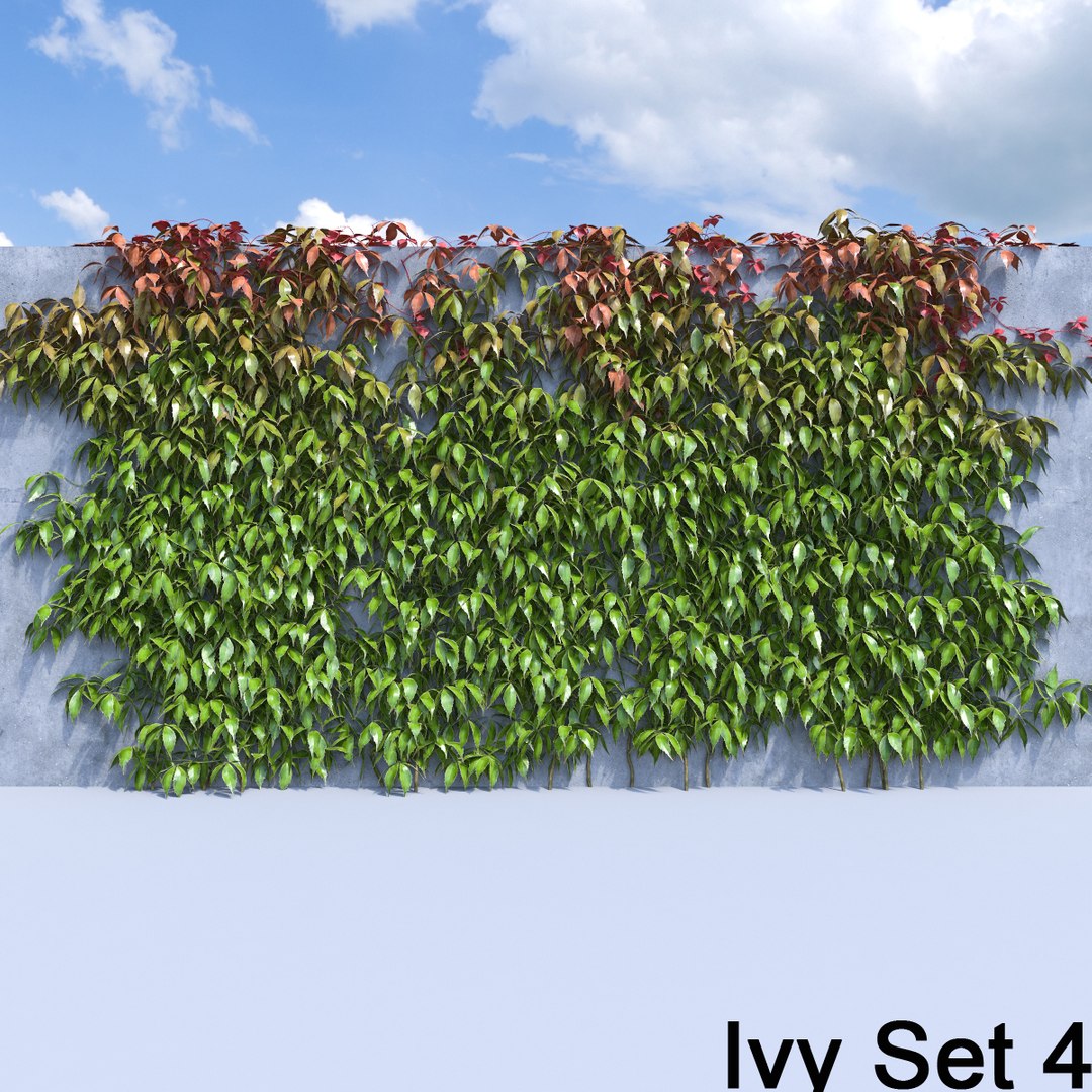 3d ivy leaf grass https://p.turbosquid.com/ts-thumb/ls/rXG0GS/QKjWRI2J/48/jpg/1450003442/1920x1080/fit_q87/82b4f21713f557447fe3b001cd1528fc0e2646c7/48.jpg