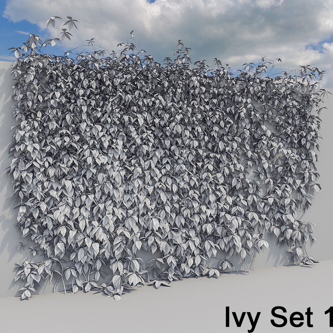 3d ivy leaf grass https://p.turbosquid.com/ts-thumb/ls/rXG0GS/Qn3IZZ40/08/jpg/1450003441/1920x1080/fit_q87/4594df4e4d3a5cd13380714df4b6d1c8bab48bb3/08.jpg