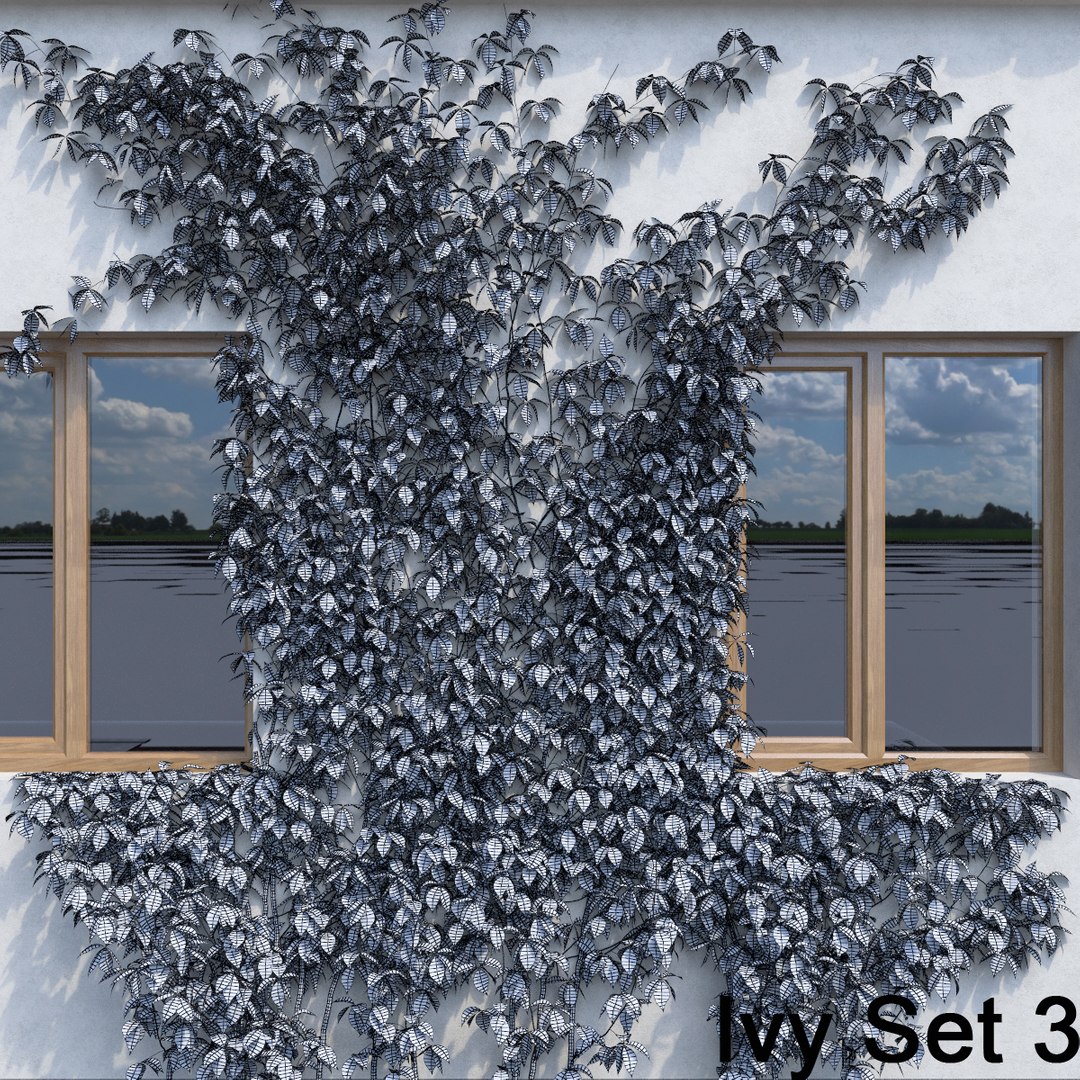 3d ivy leaf grass https://p.turbosquid.com/ts-thumb/ls/rXG0GS/RneAZjyq/40/jpg/1450003441/1920x1080/fit_q87/2abd5f856a5dd0aaf525847e0e375527f18210ba/40.jpg