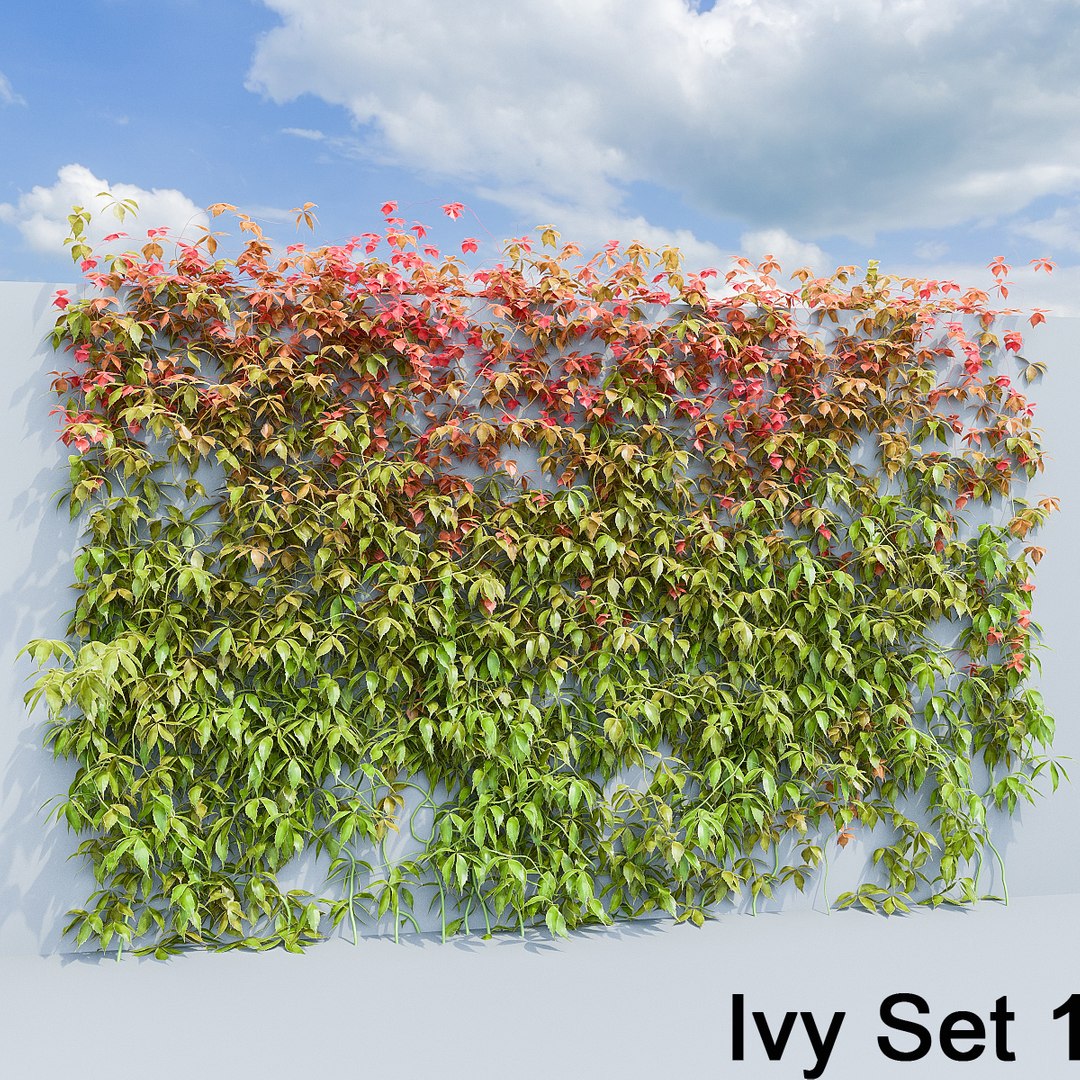 3d ivy leaf grass https://p.turbosquid.com/ts-thumb/ls/rXG0GS/TjTJD6Ry/07/jpg/1450003440/1920x1080/fit_q87/0cb163b0d462cdbc8dcd1e4d52ced22fd8fc7608/07.jpg