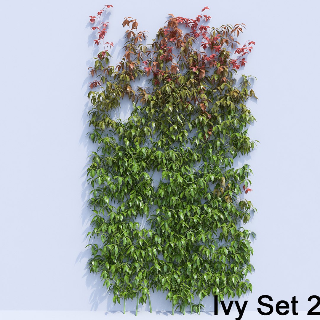3d ivy leaf grass https://p.turbosquid.com/ts-thumb/ls/rXG0GS/UIZS2K1f/32/jpg/1450003441/1920x1080/fit_q87/b5b075dd39e43d699930d3289ddd879385461b32/32.jpg