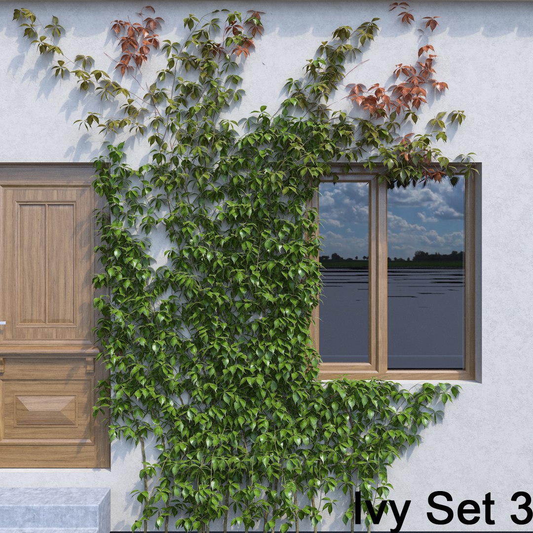 3d ivy leaf grass https://p.turbosquid.com/ts-thumb/ls/rXG0GS/WMgcollT/37/jpg/1450003441/1920x1080/fit_q87/861227684a2b2aada8f2adad1ce786520323a72b/37.jpg