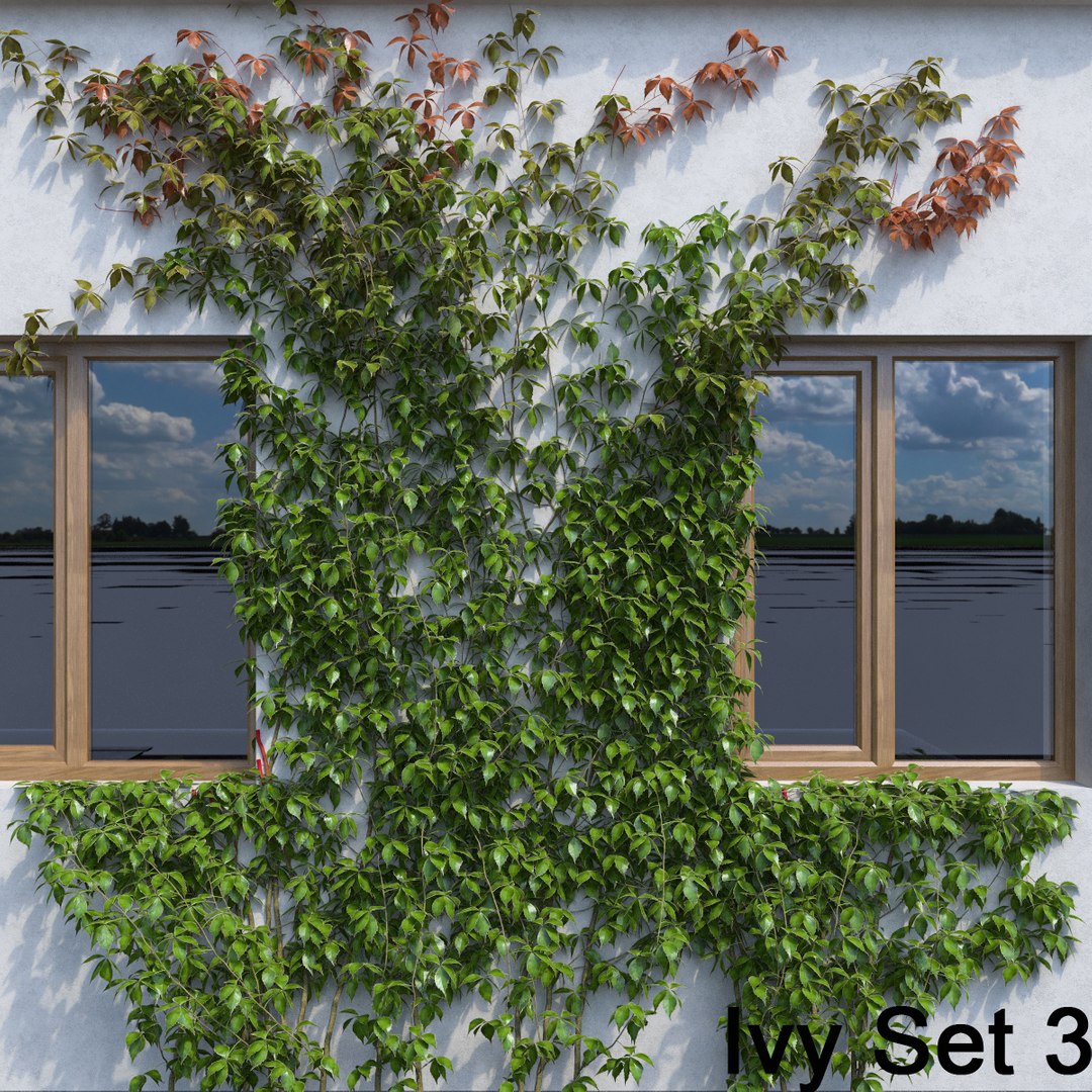 3d ivy leaf grass https://p.turbosquid.com/ts-thumb/ls/rXG0GS/Xwh4ZIyO/39/jpg/1450003441/1920x1080/fit_q87/ff67374485369c66c0791248d59e293e70ecdbf4/39.jpg