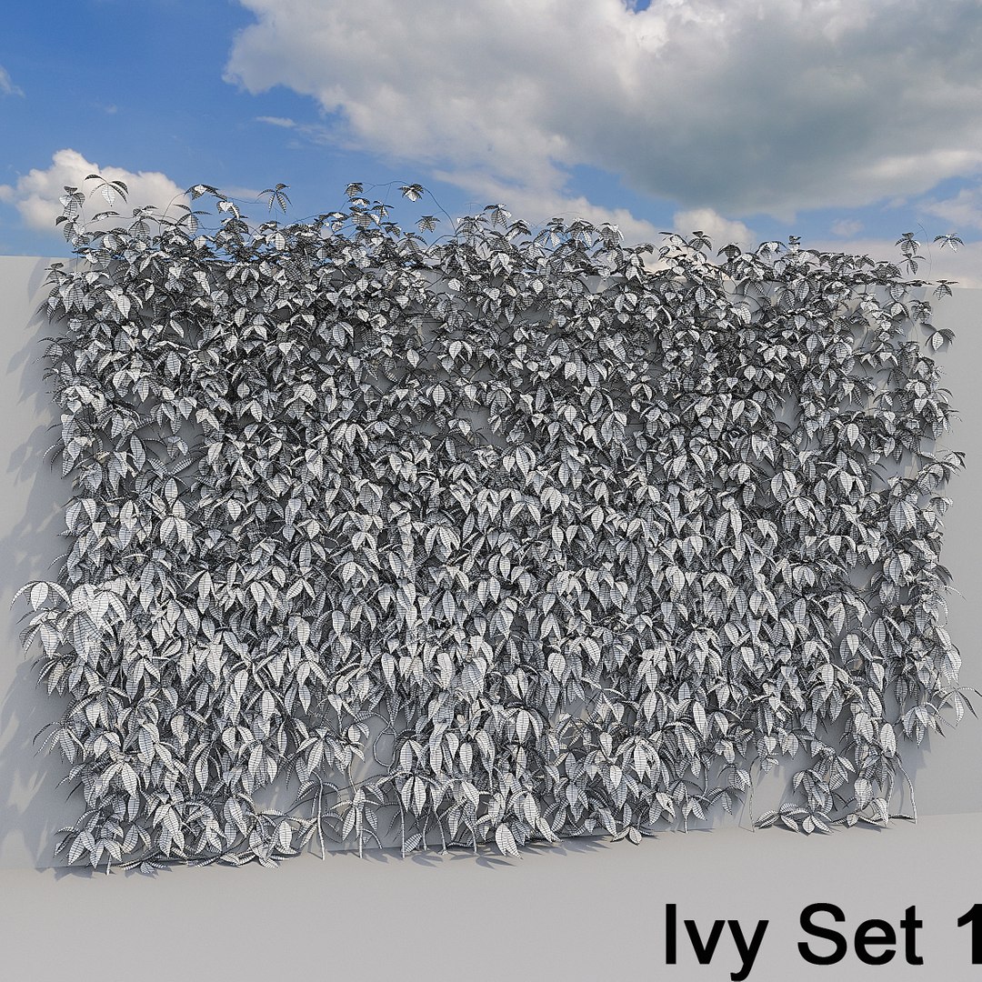 3d ivy leaf grass https://p.turbosquid.com/ts-thumb/ls/rXG0GS/YNEaOTYI/12/jpg/1450003441/1920x1080/fit_q87/642b9b8971a75fb67a5e0b59270862bbf08bf6d8/12.jpg