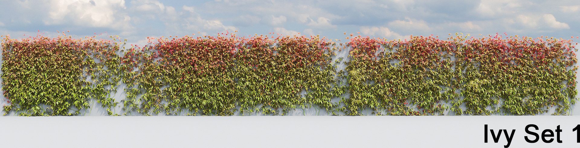 3d ivy leaf grass https://p.turbosquid.com/ts-thumb/ls/rXG0GS/YVJ8n6yO/13/jpg/1450003441/1920x1080/fit_q87/df3489a696123a624922b52c287bb2ab1912d3d0/13.jpg
