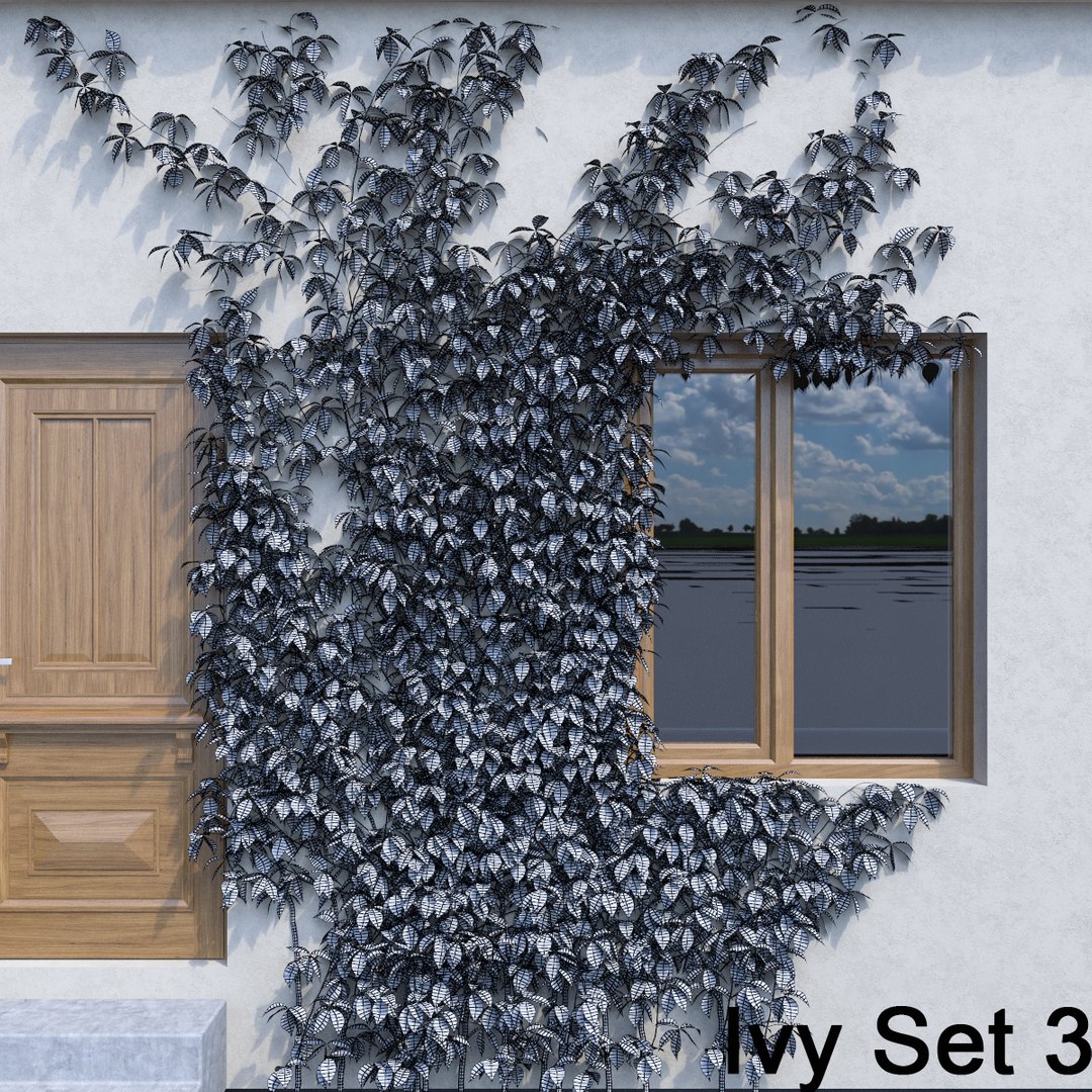 3d ivy leaf grass https://p.turbosquid.com/ts-thumb/ls/rXG0GS/Z1a0ht7i/38/jpg/1450003441/1920x1080/fit_q87/541e83897764da170eb706d627b2f7e16f31c3b6/38.jpg