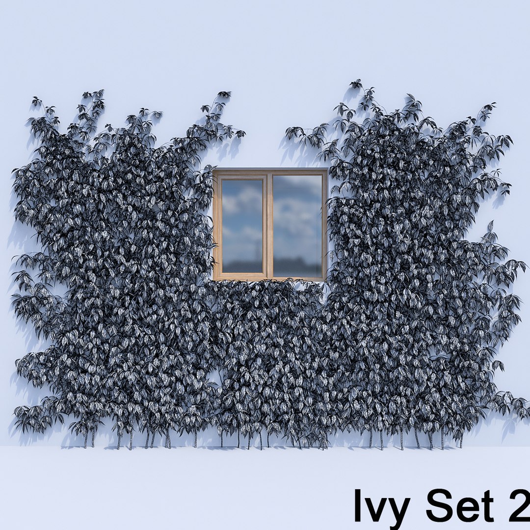 3d ivy leaf grass https://p.turbosquid.com/ts-thumb/ls/rXG0GS/ZDRNfNkB/29/jpg/1450003441/1920x1080/fit_q87/12ce0d88e4429ff4633b03d3e6da9438d0a9873d/29.jpg