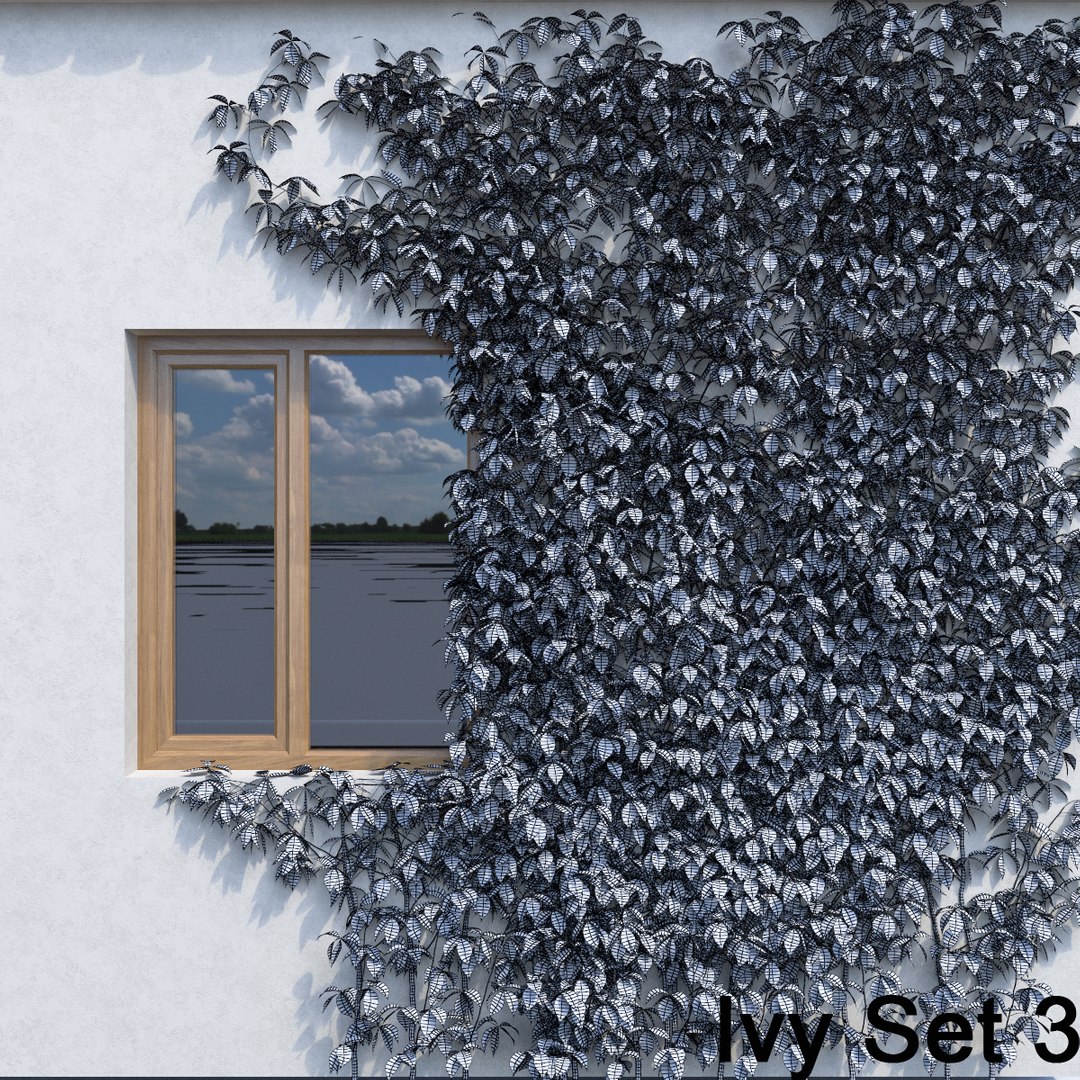 3d ivy leaf grass https://p.turbosquid.com/ts-thumb/ls/rXG0GS/ZbeRcLK8/42/jpg/1450003441/1920x1080/fit_q87/2ecde284e7196bc2a69dbd3981df177c497abfd2/42.jpg