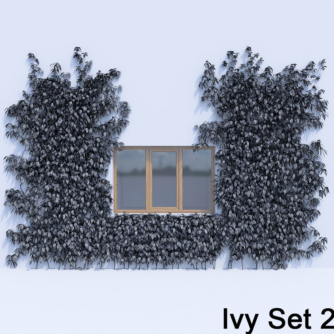 3d ivy leaf grass https://p.turbosquid.com/ts-thumb/ls/rXG0GS/auF6HIsc/23/jpg/1450003441/1920x1080/fit_q87/b067b44fb6731e006cdff154d9d694e5f01b0ba4/23.jpg