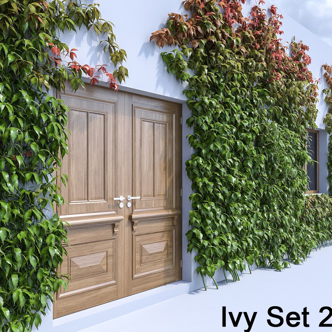 3d ivy leaf grass https://p.turbosquid.com/ts-thumb/ls/rXG0GS/bI0l1vhP/14/jpg/1450003441/1920x1080/fit_q87/2b6fb92d1102d186e5ac0ecfae27c20cb8a8284c/14.jpg
