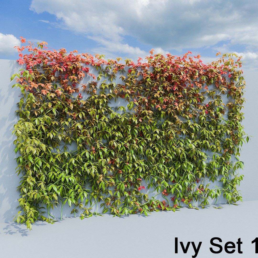 3d ivy leaf grass https://p.turbosquid.com/ts-thumb/ls/rXG0GS/bW4qlL1L/06/jpg/1450003440/1920x1080/fit_q87/0cd40d85265864789221644b8975a719c49ccb74/06.jpg