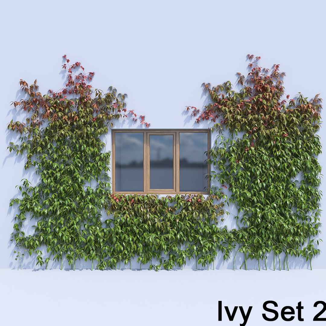 3d ivy leaf grass https://p.turbosquid.com/ts-thumb/ls/rXG0GS/c14mdZtl/26/jpg/1450003441/1920x1080/fit_q87/c9999562a8cafd0cc67d91c543324359fcbea655/26.jpg