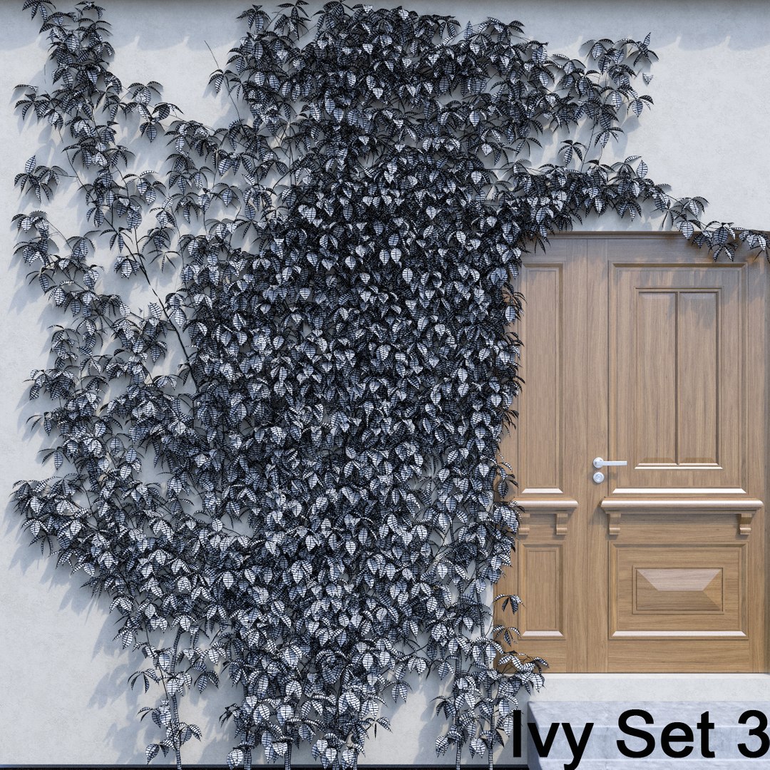 3d ivy leaf grass https://p.turbosquid.com/ts-thumb/ls/rXG0GS/cteRpapQ/36/jpg/1450003441/1920x1080/fit_q87/dad5d9a620553814385fdf6a3a7119a228e356f7/36.jpg