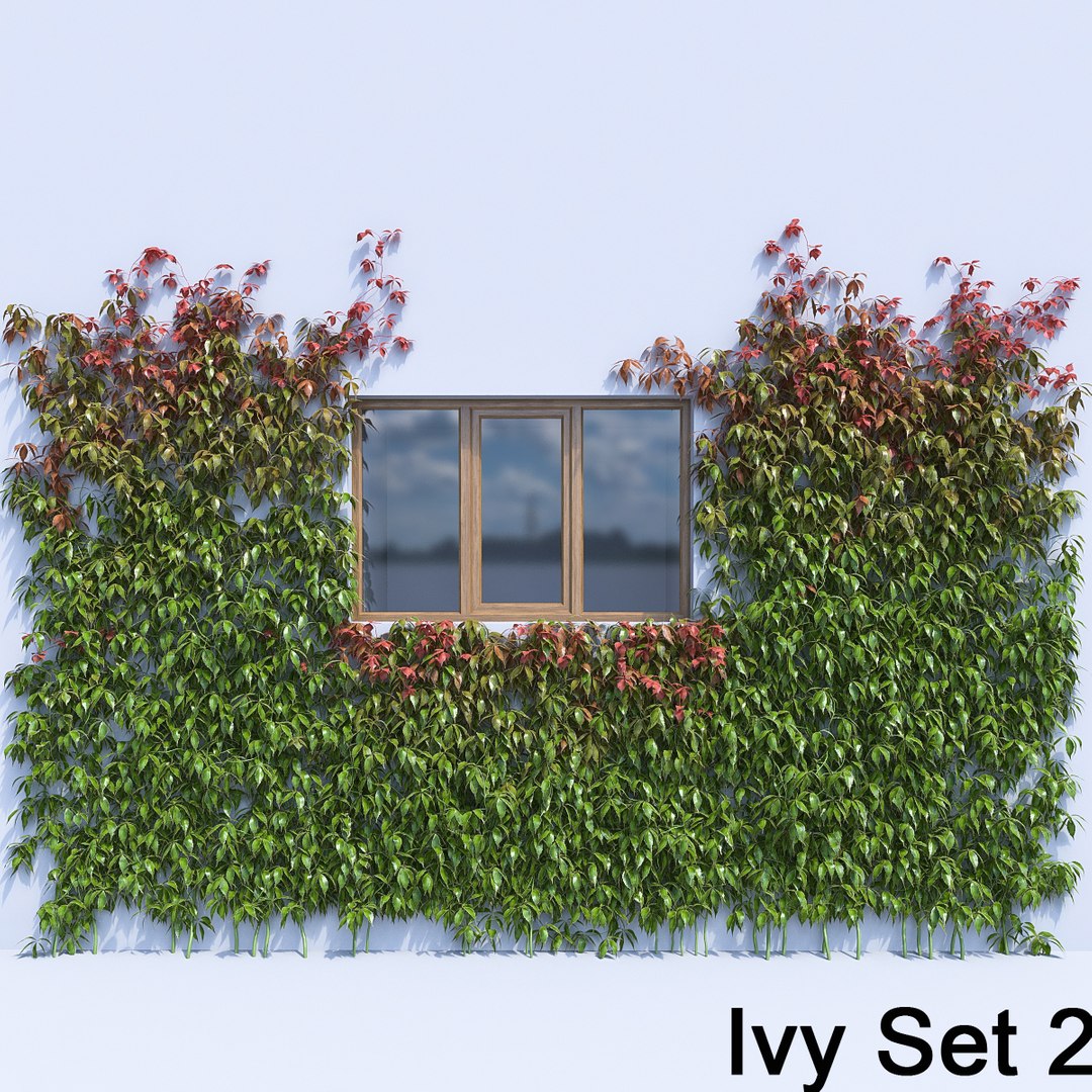 3d ivy leaf grass https://p.turbosquid.com/ts-thumb/ls/rXG0GS/dFDcAVLA/30/jpg/1450003441/1920x1080/fit_q87/bfc7b8a3ab53a8b94e556b1219d3c8cdf549547d/30.jpg