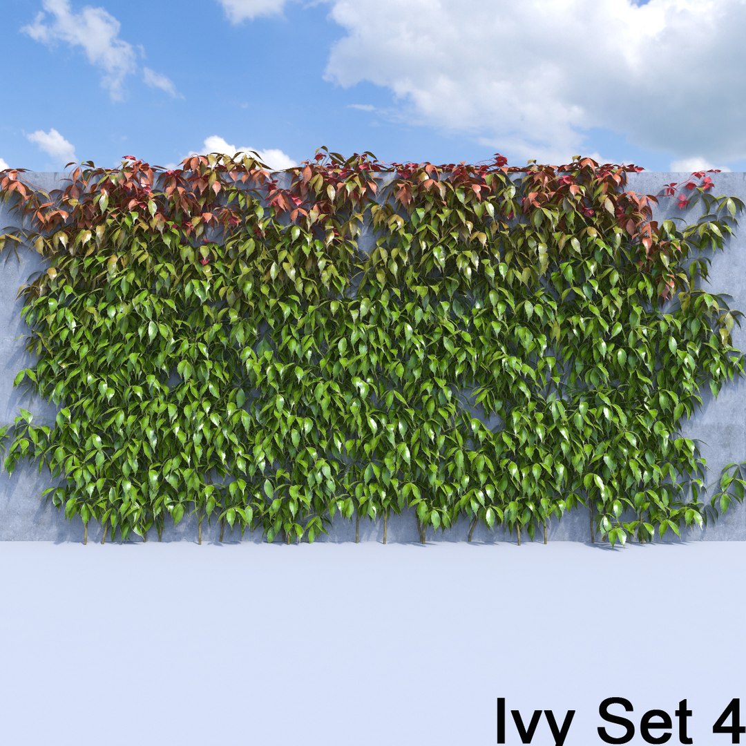 3d ivy leaf grass https://p.turbosquid.com/ts-thumb/ls/rXG0GS/dITT5Dxo/46/jpg/1450003442/1920x1080/fit_q87/e5aadf28c2bf104f9d7b0cf708002317538baf6d/46.jpg