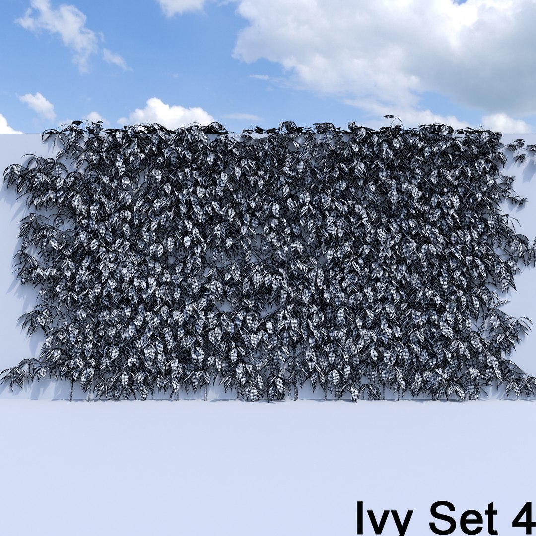 3d ivy leaf grass https://p.turbosquid.com/ts-thumb/ls/rXG0GS/gbyD8yVx/55/jpg/1450026163/1920x1080/fit_q87/c8c4be7a73b97c166b9700a732573e072ac39666/55.jpg