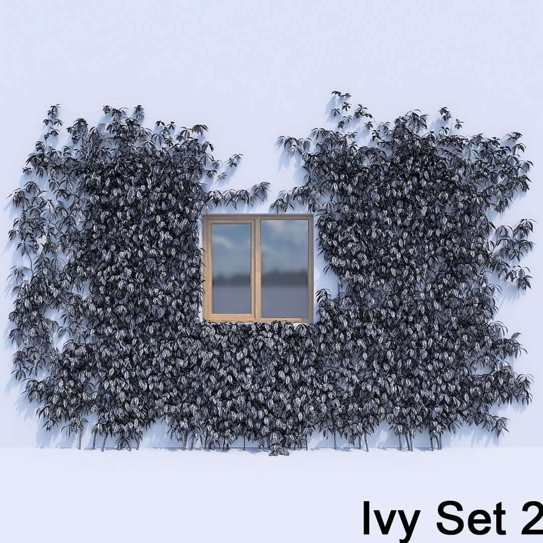 3d ivy leaf grass https://p.turbosquid.com/ts-thumb/ls/rXG0GS/giM4IM0o/25/jpg/1450003441/1920x1080/fit_q87/fe75692a8529e4a4690887660c765e5bc6adbcf3/25.jpg