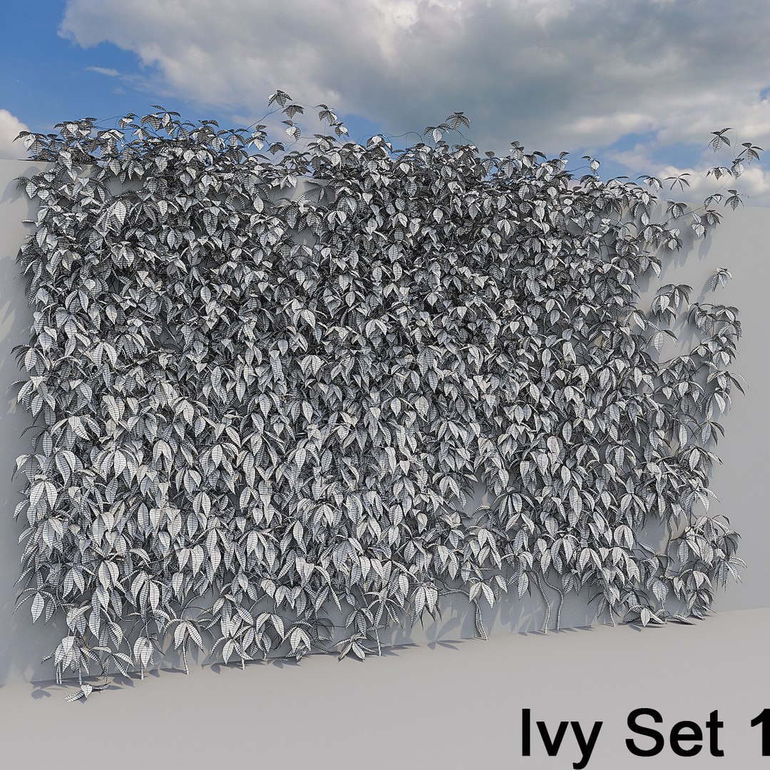 3d ivy leaf grass https://p.turbosquid.com/ts-thumb/ls/rXG0GS/gk3QyVLg/10/jpg/1450003441/1920x1080/fit_q87/914242cbb5c1a371f0a93e84a63ab818555e9f07/10.jpg