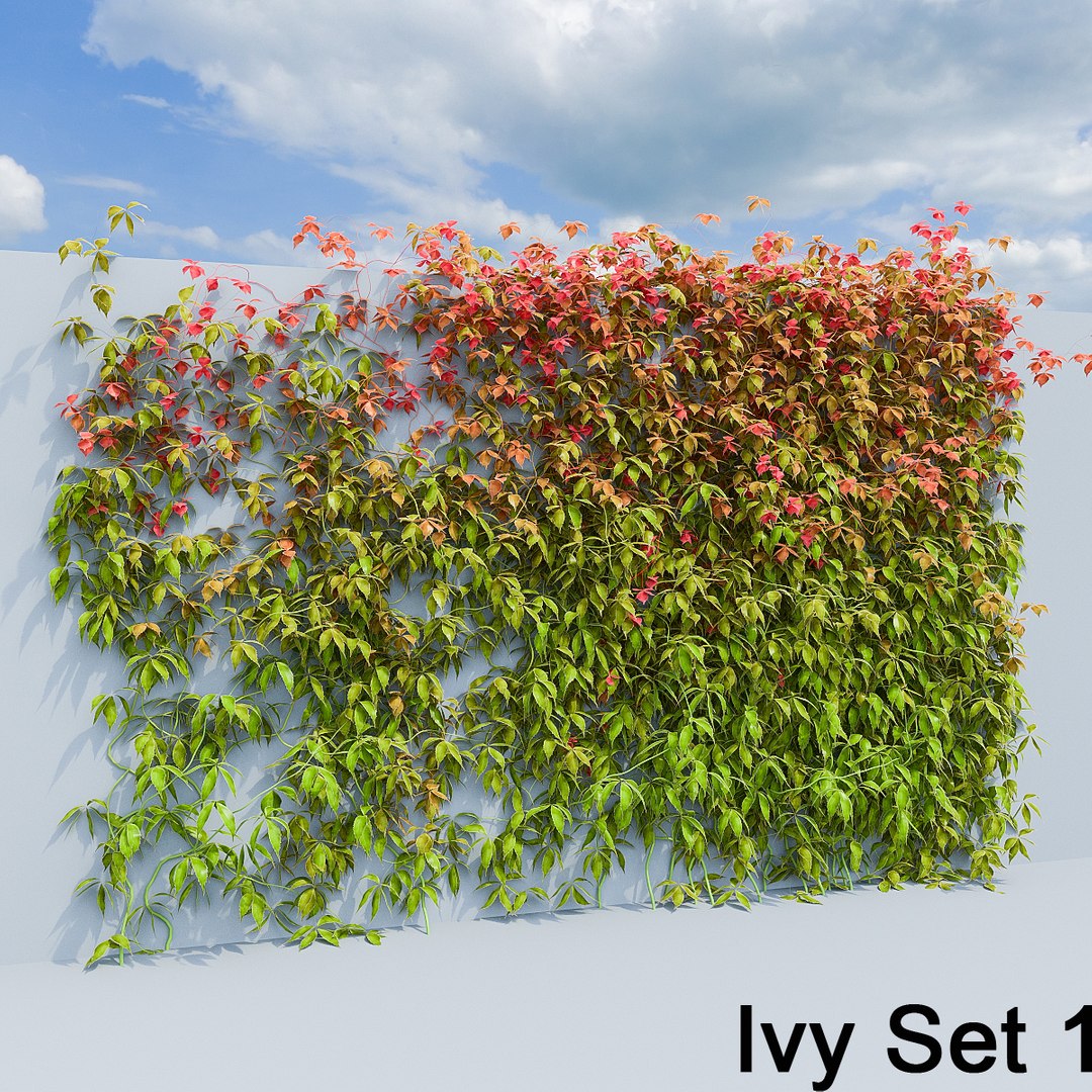 3d ivy leaf grass https://p.turbosquid.com/ts-thumb/ls/rXG0GS/iCPcQ2Fv/04/jpg/1450003440/1920x1080/fit_q87/cadf6de13ea13d1cb413b2e714fea85c198f3aee/04.jpg