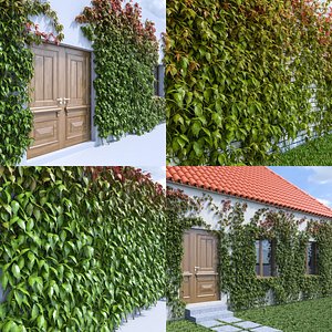 3d ivy leaf grass