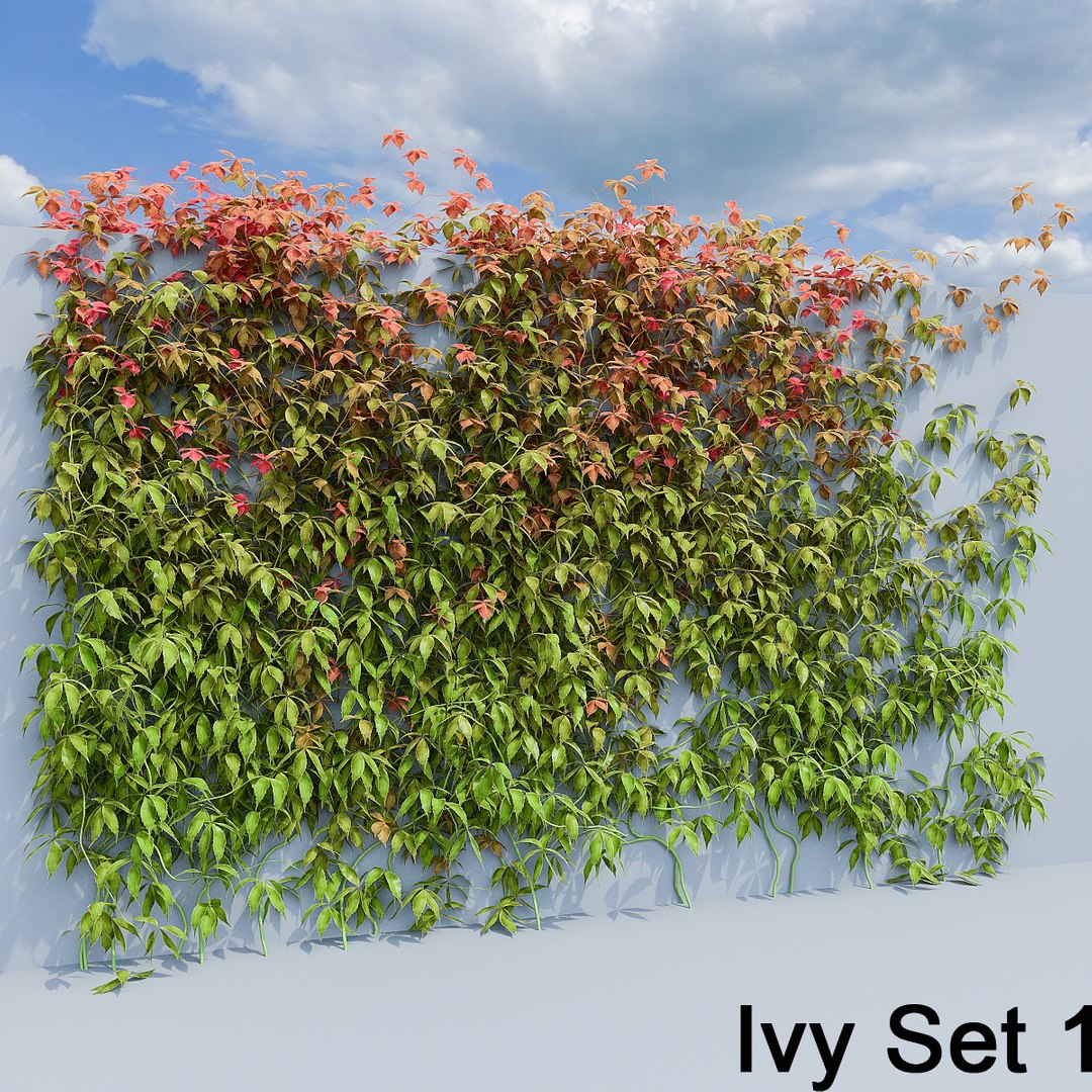 3d ivy leaf grass https://p.turbosquid.com/ts-thumb/ls/rXG0GS/jRFNVppe/05/jpg/1450003440/1920x1080/fit_q87/9fcb187ba0963fb3e6a5cf4edfe568775b286c78/05.jpg