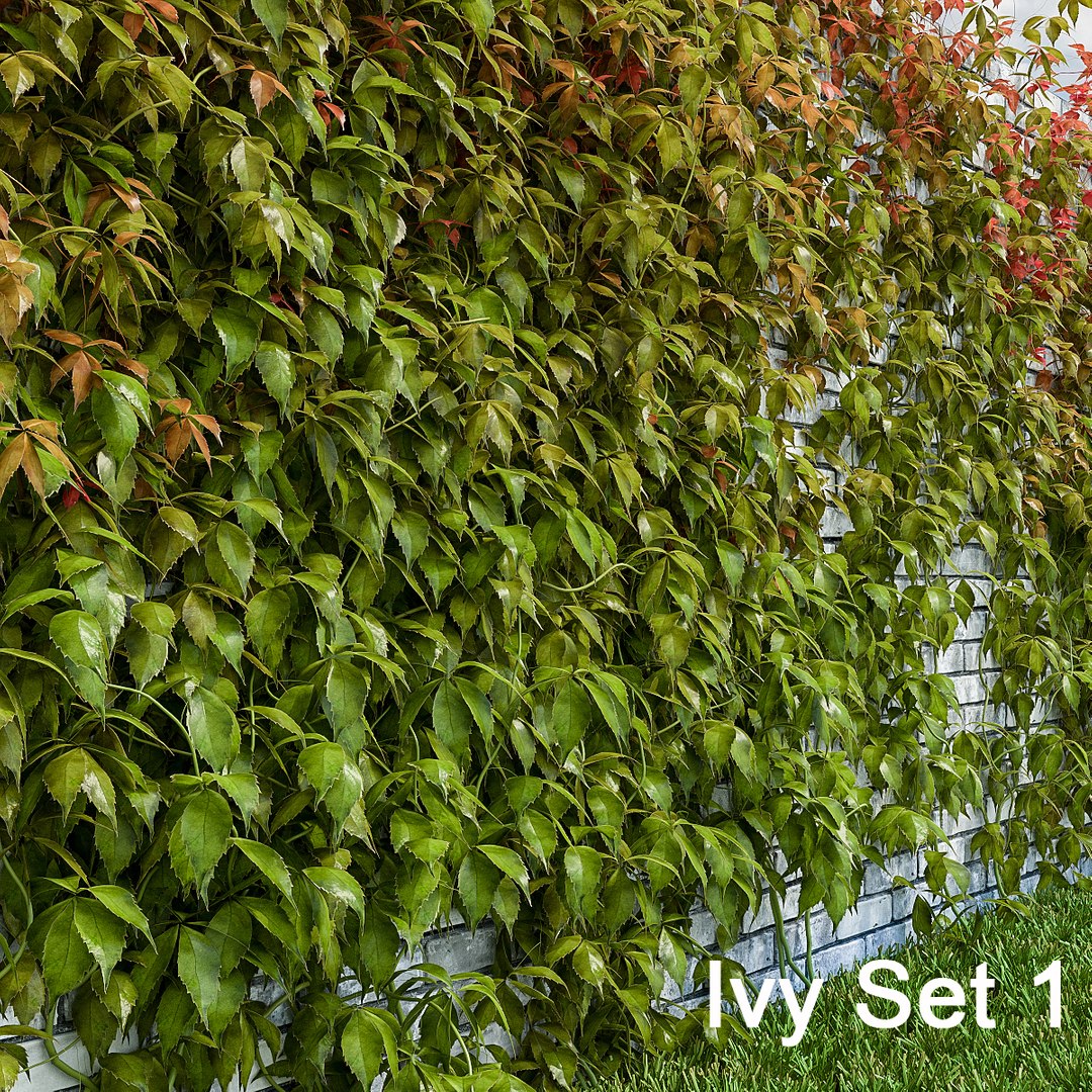 3d ivy leaf grass https://p.turbosquid.com/ts-thumb/ls/rXG0GS/jTayjNJy/02/jpg/1450003440/1920x1080/fit_q87/7cf0cf03aeb99fe2f60909453603d8c70d04f90f/02.jpg