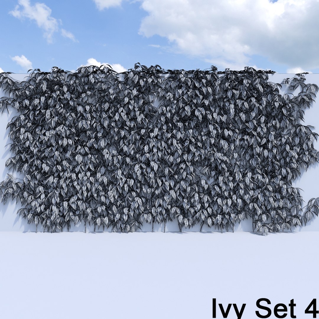3d ivy leaf grass https://p.turbosquid.com/ts-thumb/ls/rXG0GS/oj2i2AEo/47/jpg/1450003442/1920x1080/fit_q87/3b7553e3e8124ad6bab5074f6f78199b3e42814e/47.jpg